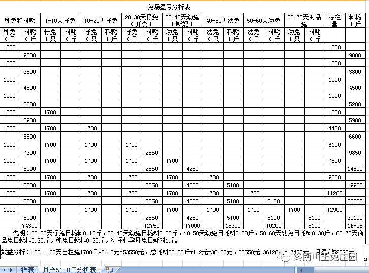 兔场1000种兔各段繁殖出栏商品兔效益分析表-18