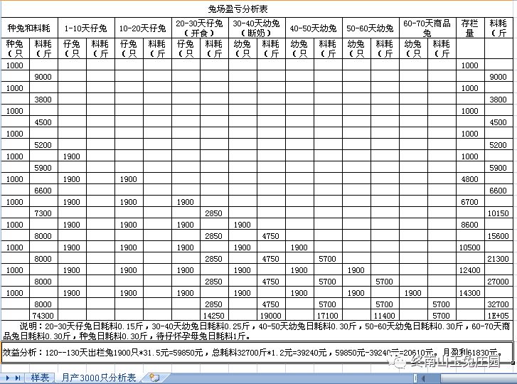 兔场1000种兔各段繁殖出栏商品兔效益分析表-18