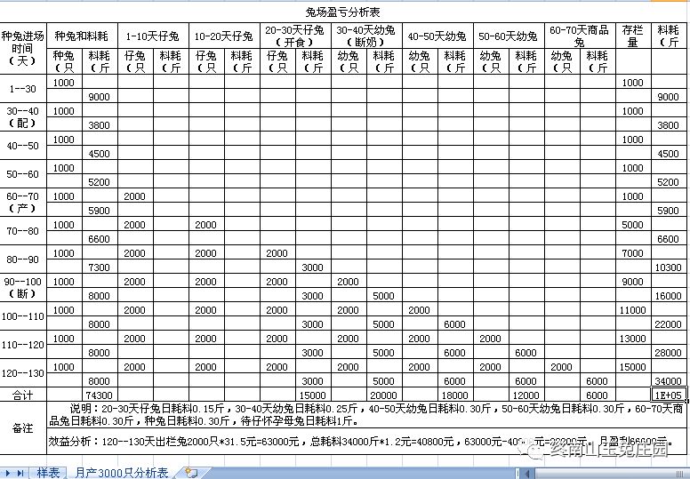 兔场1000种兔各段繁殖出栏商品兔效益分析表-18