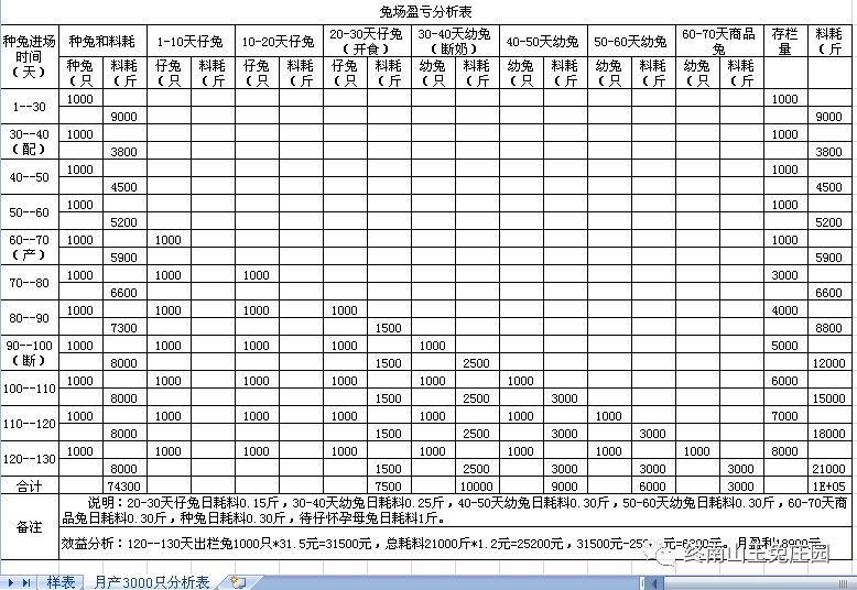 兔场1000种兔各段繁殖出栏商品兔效益分析表-18