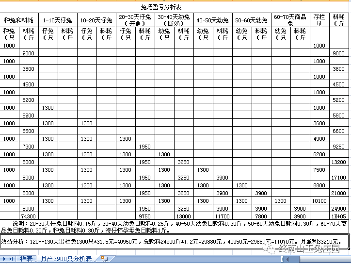 兔场1000种兔各段繁殖出栏商品兔效益分析表-18