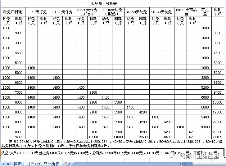 兔场1000种兔各段繁殖出栏商品兔效益分析表-18